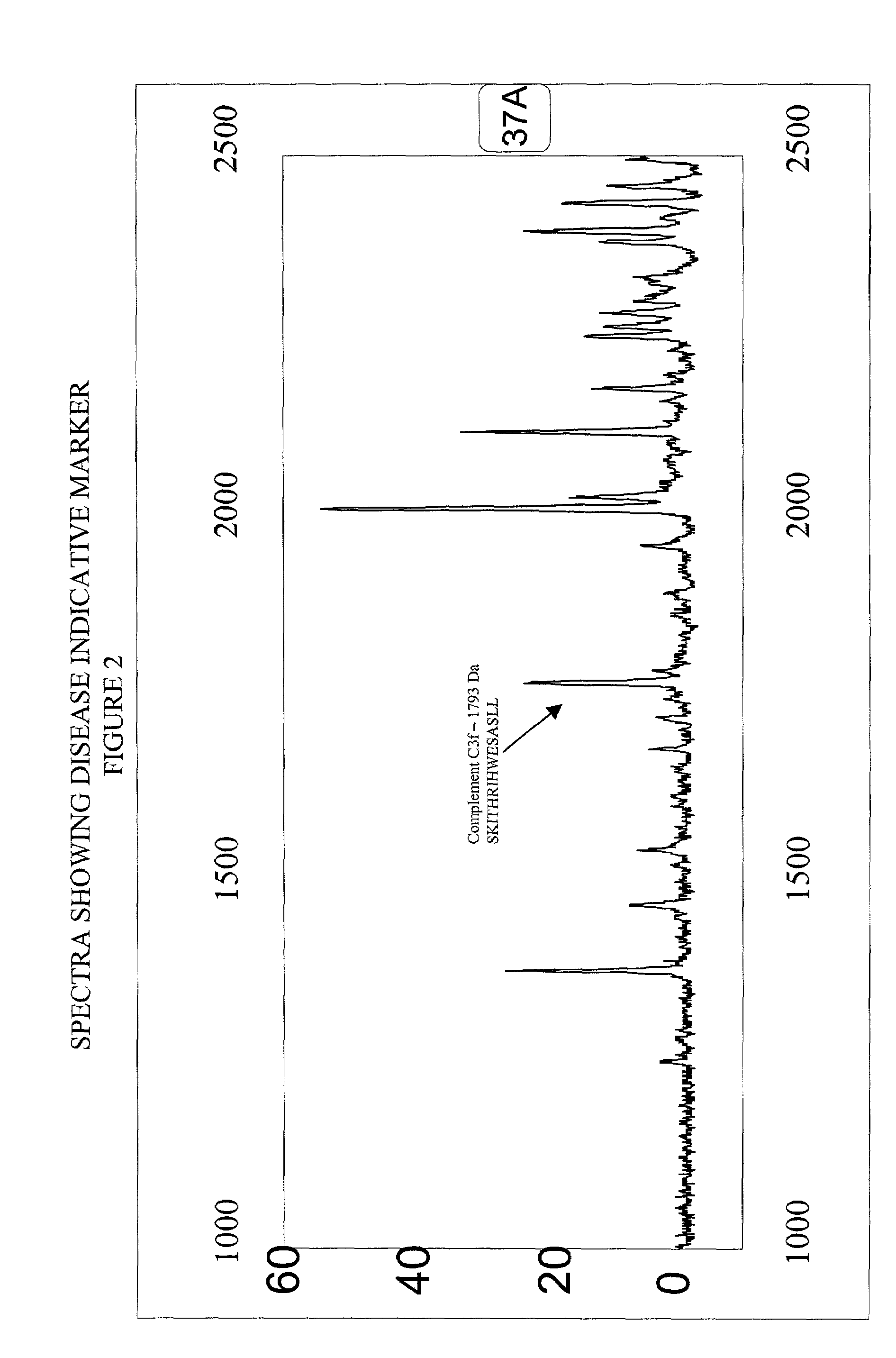 Biopolymer marker indicative of disease state having a molecular weight of 1793 daltons