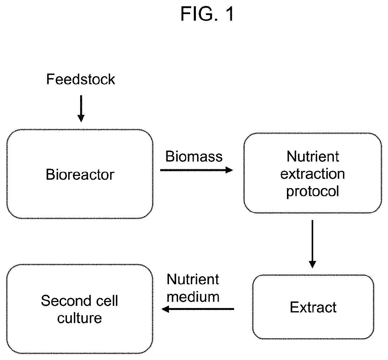 Microorganism-Derived Protein Hydrolysates and Methods of Preparation and Use Thereof