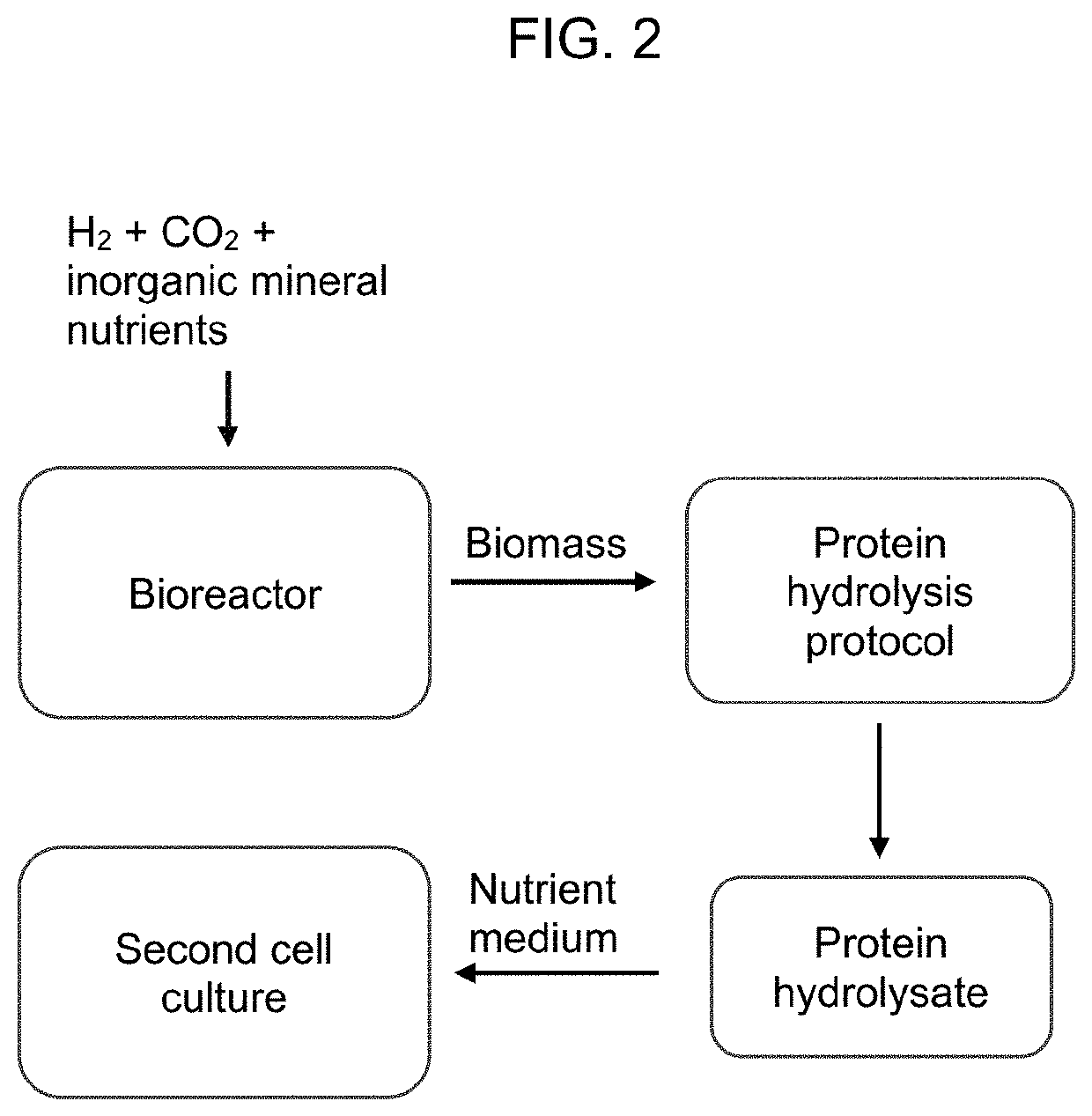 Microorganism-Derived Protein Hydrolysates and Methods of Preparation and Use Thereof