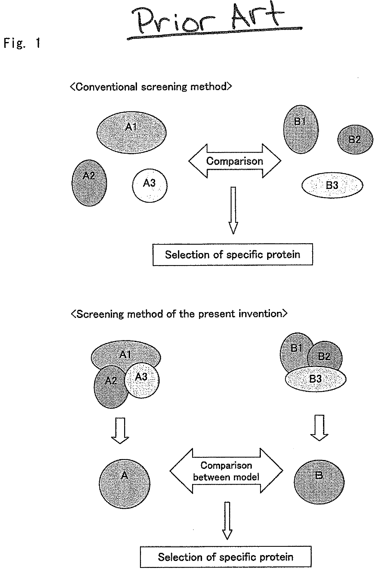 Screening Method for Specific Protein in Proteome Comprehensive Analysis