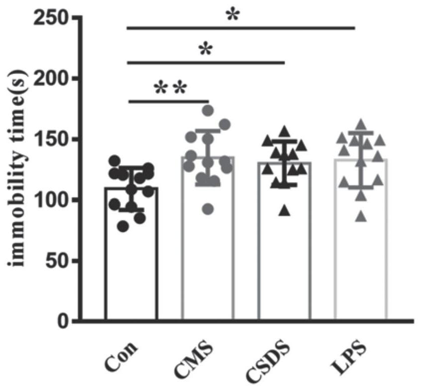 Application of PF429242 in preparation of depression treatment medicine