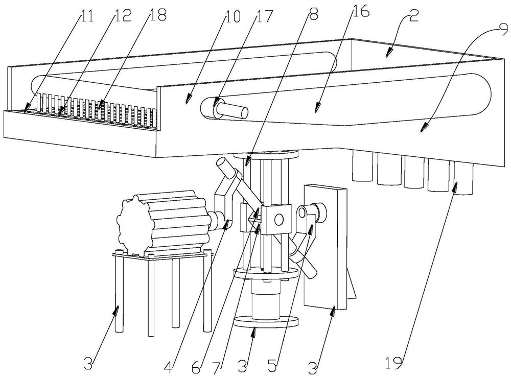 Vegetable cleaning equipment