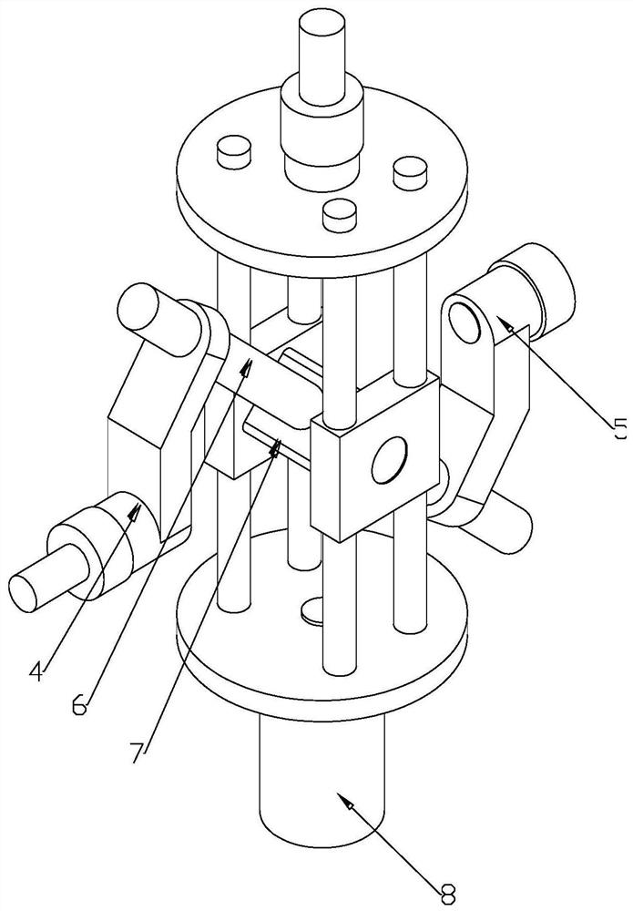 Vegetable cleaning equipment