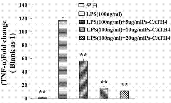 Application of Chinese soft-shelled turtle cathelicidin-ps-cath4 peptide in the preparation of anti-inflammatory drugs