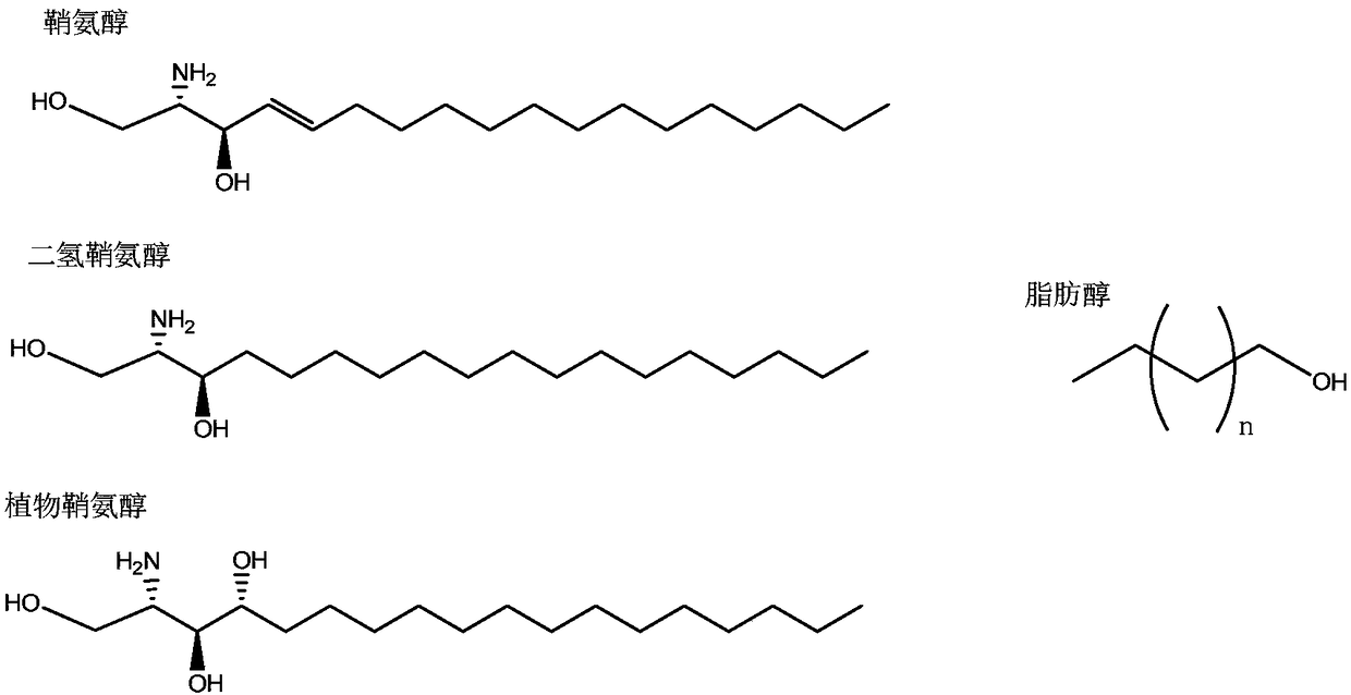 Novel glycosphingolipid endoglycosidase, and gene engineering preparation method and application thereof