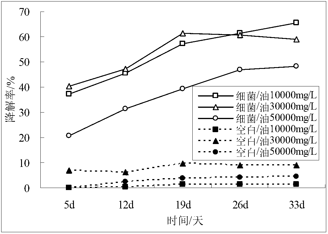 Microbial agent for repairing petroleum-polluted saline alkali soil and preparation method thereof