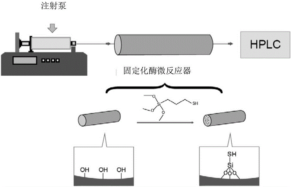 Method for continuous hydrolysis of cellobiose in straw by utilization of immobilized enzyme microreactor