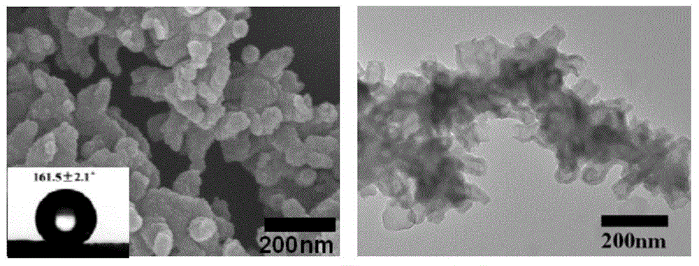 Preparation method and application of super-hydrophobic nanofibers of coral structure