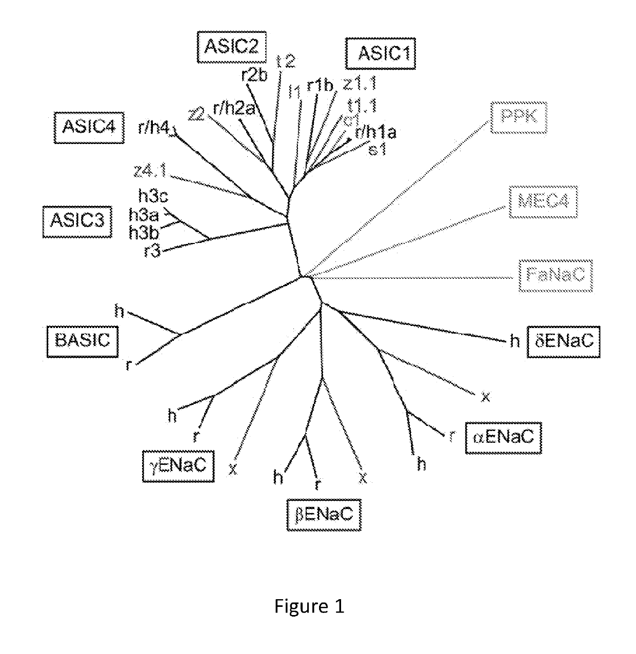 Methods and compositions for appetite control and weight management