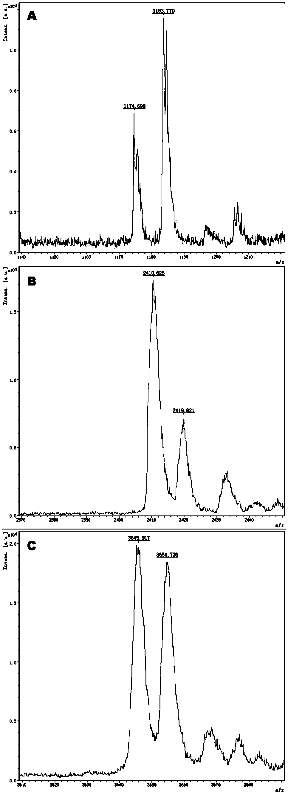 Detection product for differentiating enalapril individualized medication types