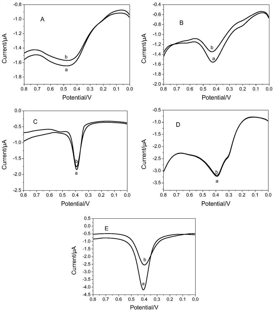 MXene composite membrane modified electrode and electrochemical identification of MXene composite membrane modified electrode on methionine enantiomer