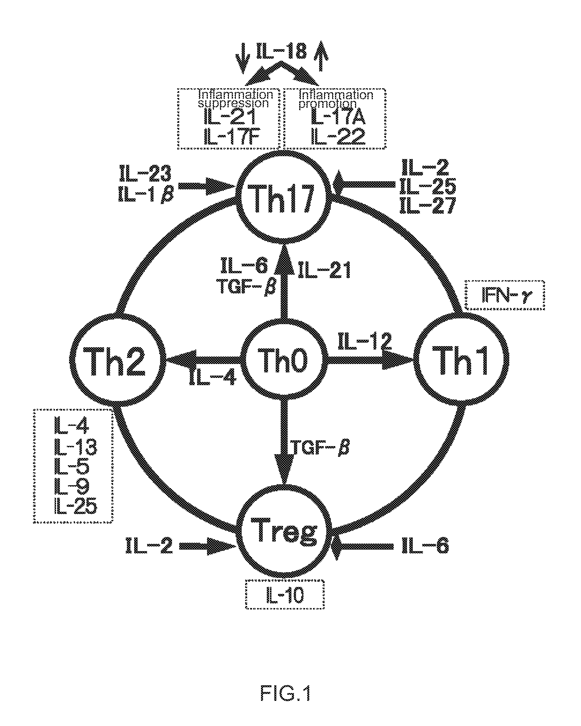 Immunopotentiating composition and process for producing same