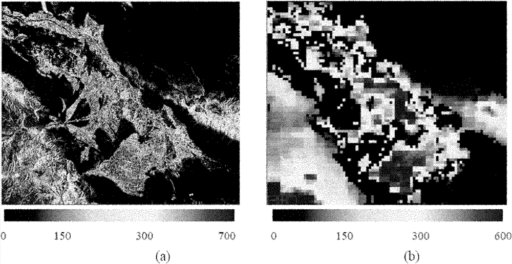 Method for obtaining field evapotranspiration of field scale