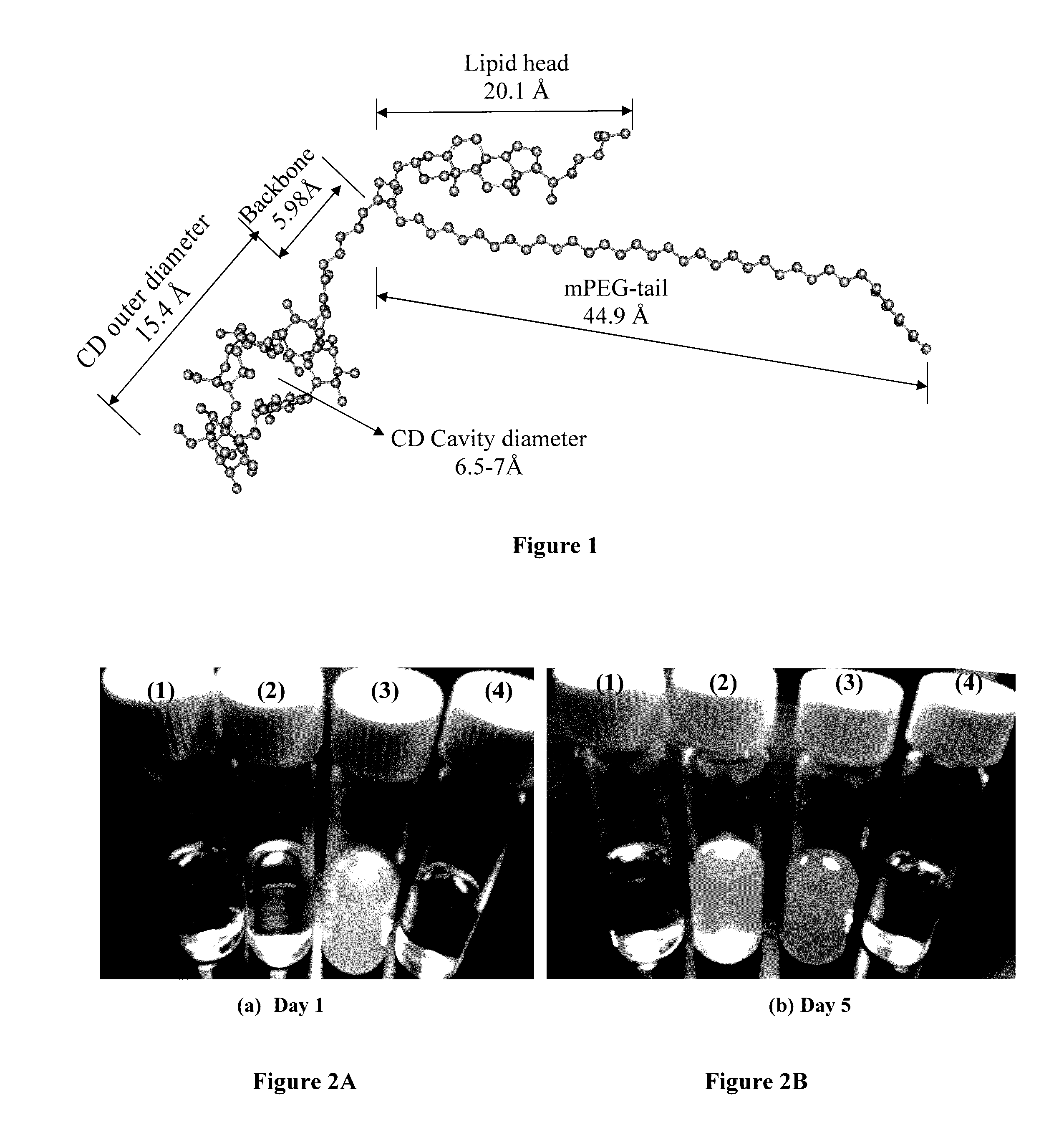 Polymer-cyclodextrin-lipid conjugates