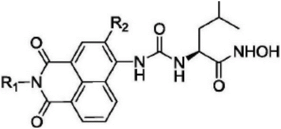 A kind of APN inhibitor with fluorescent property and its application