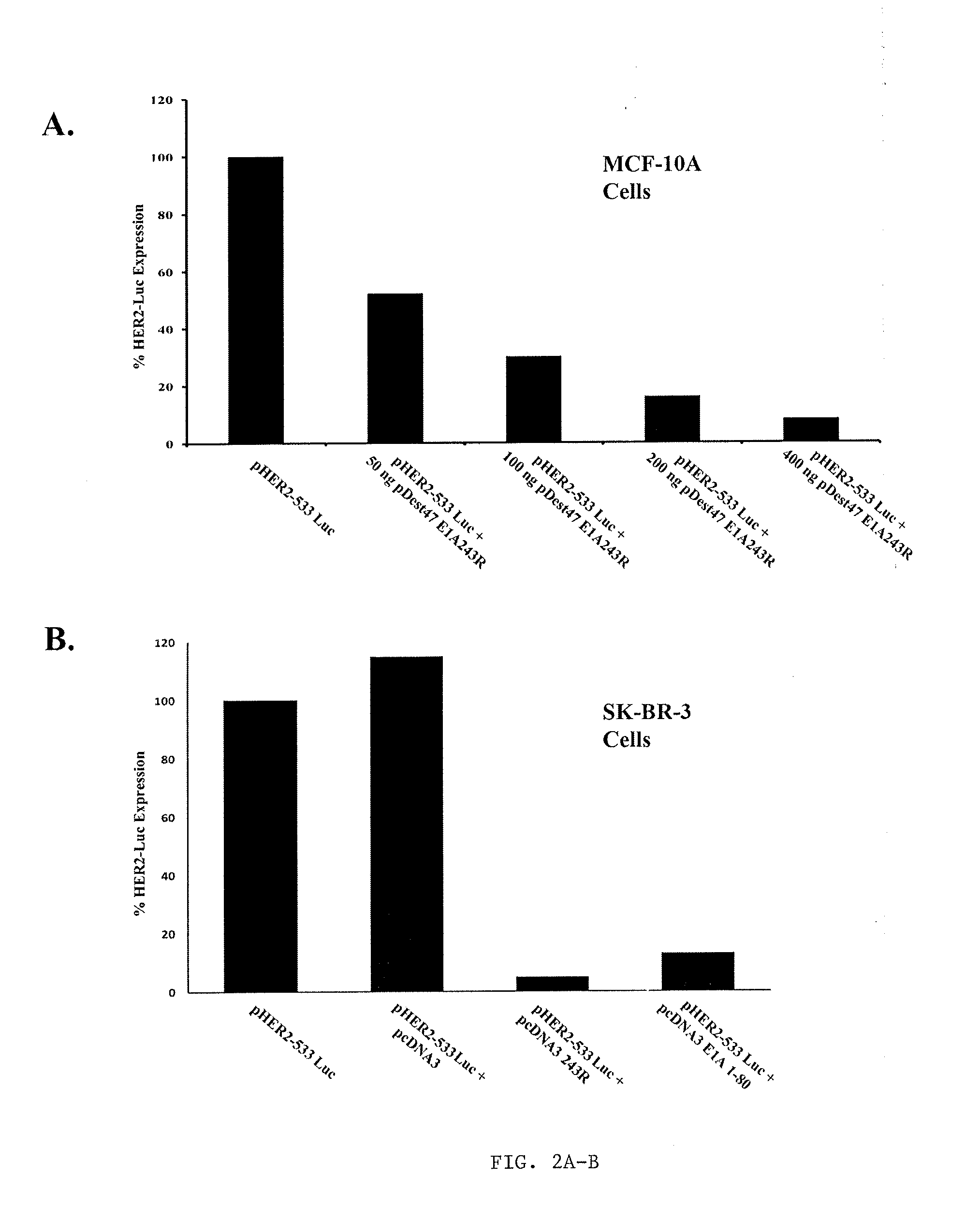 Adenovirus E1A Fragments for Use in Anti-Cancer Therapies