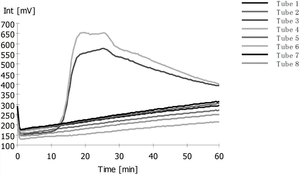 RT-LAMP detection primer group of spring viremia of carp virus (SVCV), kit and detection method