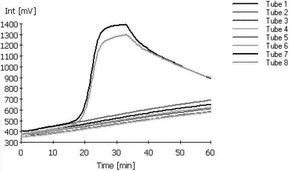 RT-LAMP detection primer group of spring viremia of carp virus (SVCV), kit and detection method