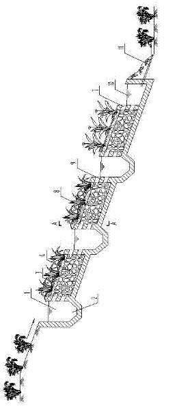 Method for processing agricultural running water pollution by utilizing bank and compound system for processing running water pollution