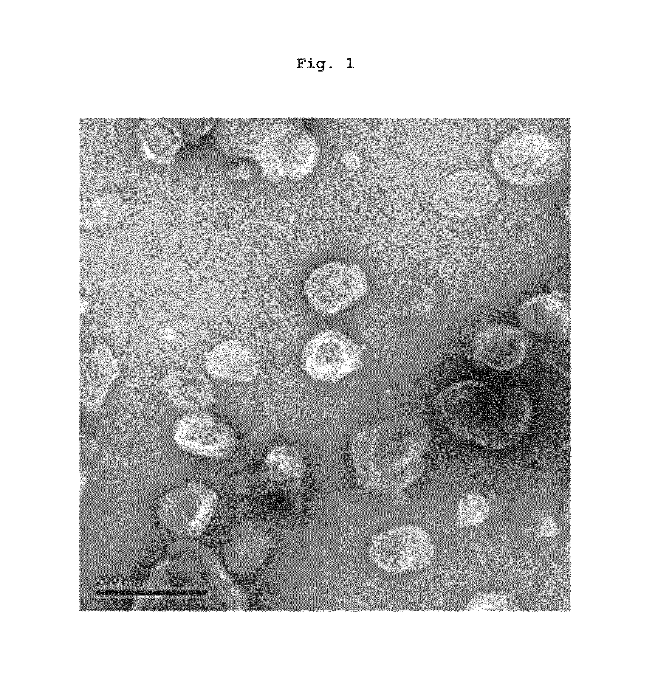 Nano-vehicle derived from tumor tissue, and cancer vaccine using same