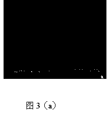 Biomimetic monolithic material with affine selectivity similar to that of protein A and preparation method and application thereof