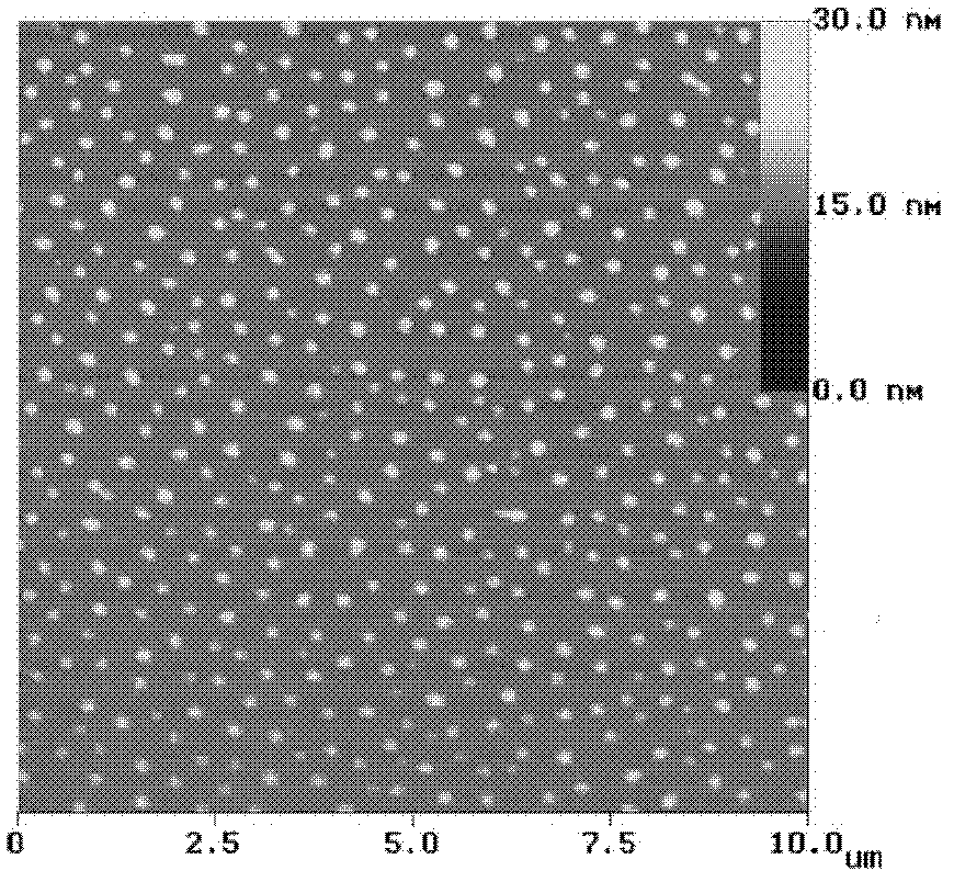 Polystyrene nanoparticle adsorbed on mica sheet surface and preparation method thereof