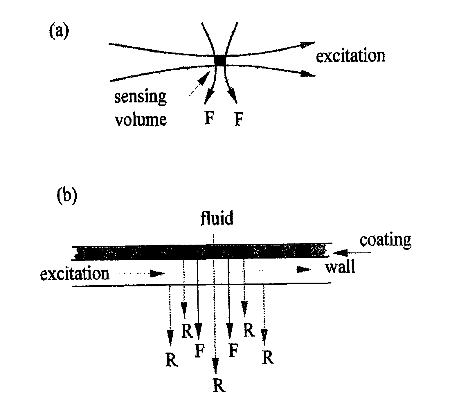 Dual detector capillary waveguide biosensor and method for use thereof