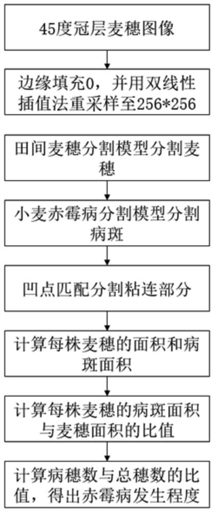 Method and device for diagnosing disease severity of wheat head blight in field environment