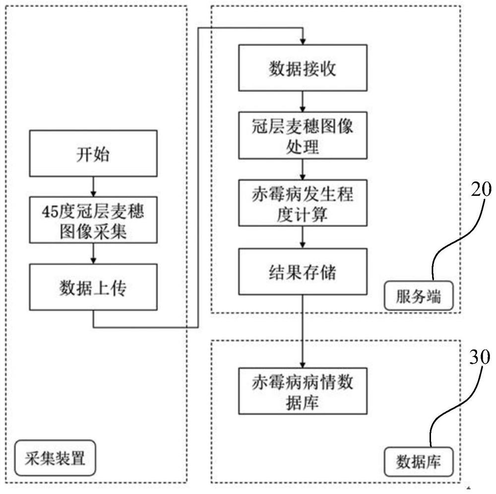 Method and device for diagnosing disease severity of wheat head blight in field environment