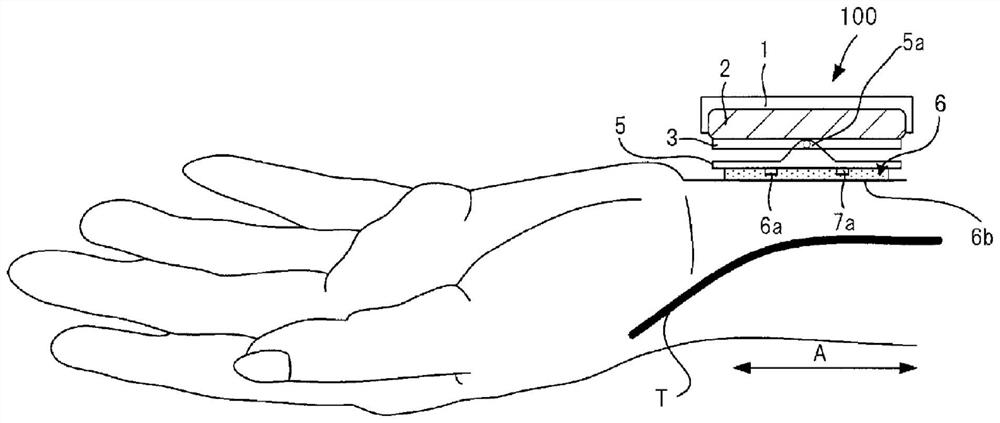 Pulse wave detection device and biological information measurement device