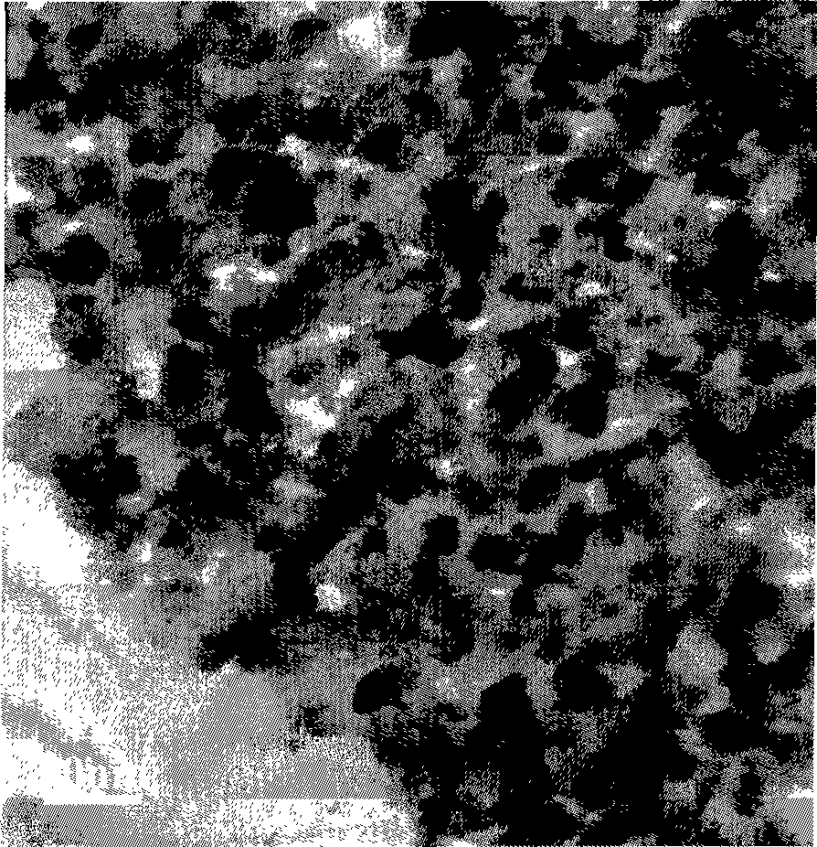 Coordination template for ZnS or ZnSe nanometer crystal preparation and hydrothermal preparation method thereof