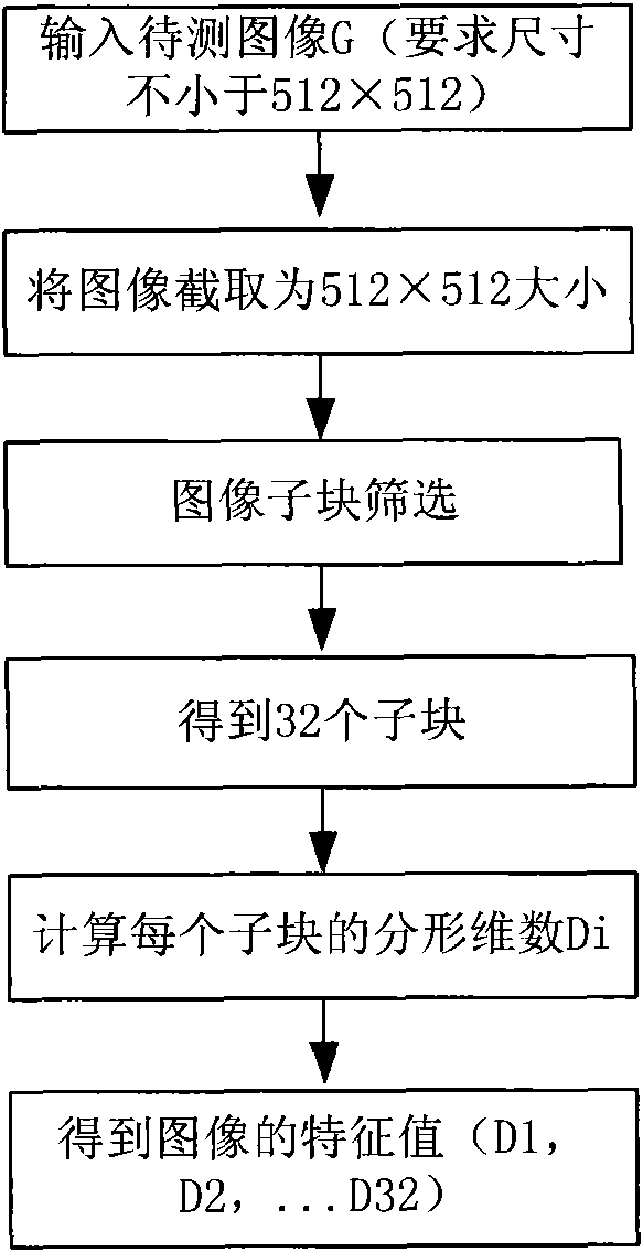 Computer generated image passive detection method based on fractal dimension