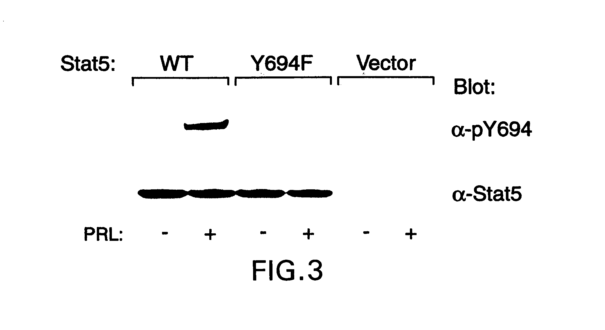 Diagnostic and monitoring methods for cancer