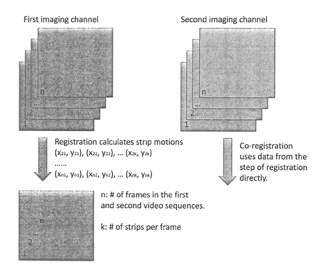 Method of imaging multiple retinal structures