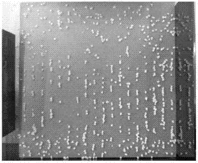 Method for making silicon micro-nano structure array based on ultrasonic standing wave field