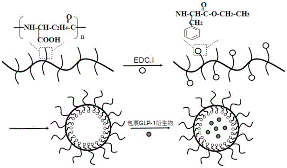 glp-1 derivative particle complex and its preparation method and application