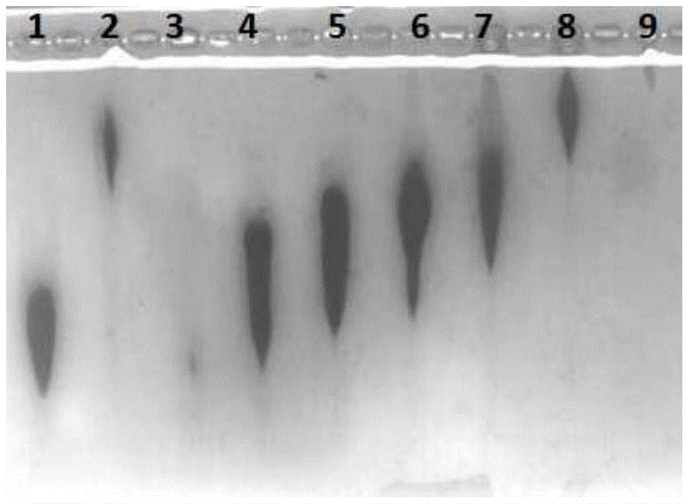 glp-1 derivative particle complex and its preparation method and application