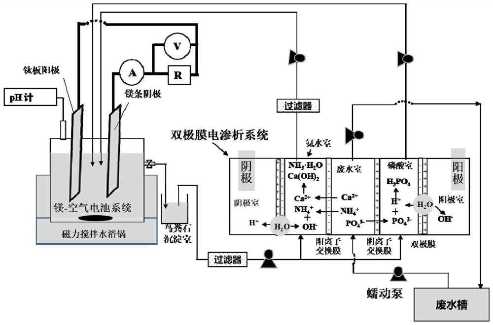 Electrochemical method for recycling low-concentration nitrogen and phosphorus in wastewater in struvite form