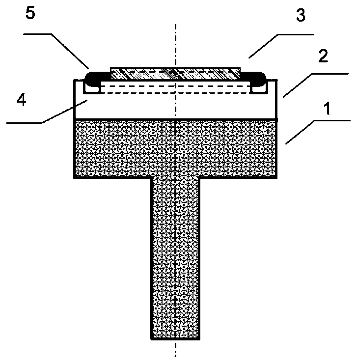 Diamond film preparing device and method