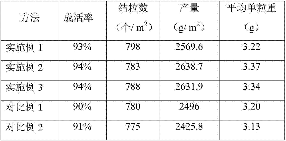 Method for manufacturing potato breeder's seeds