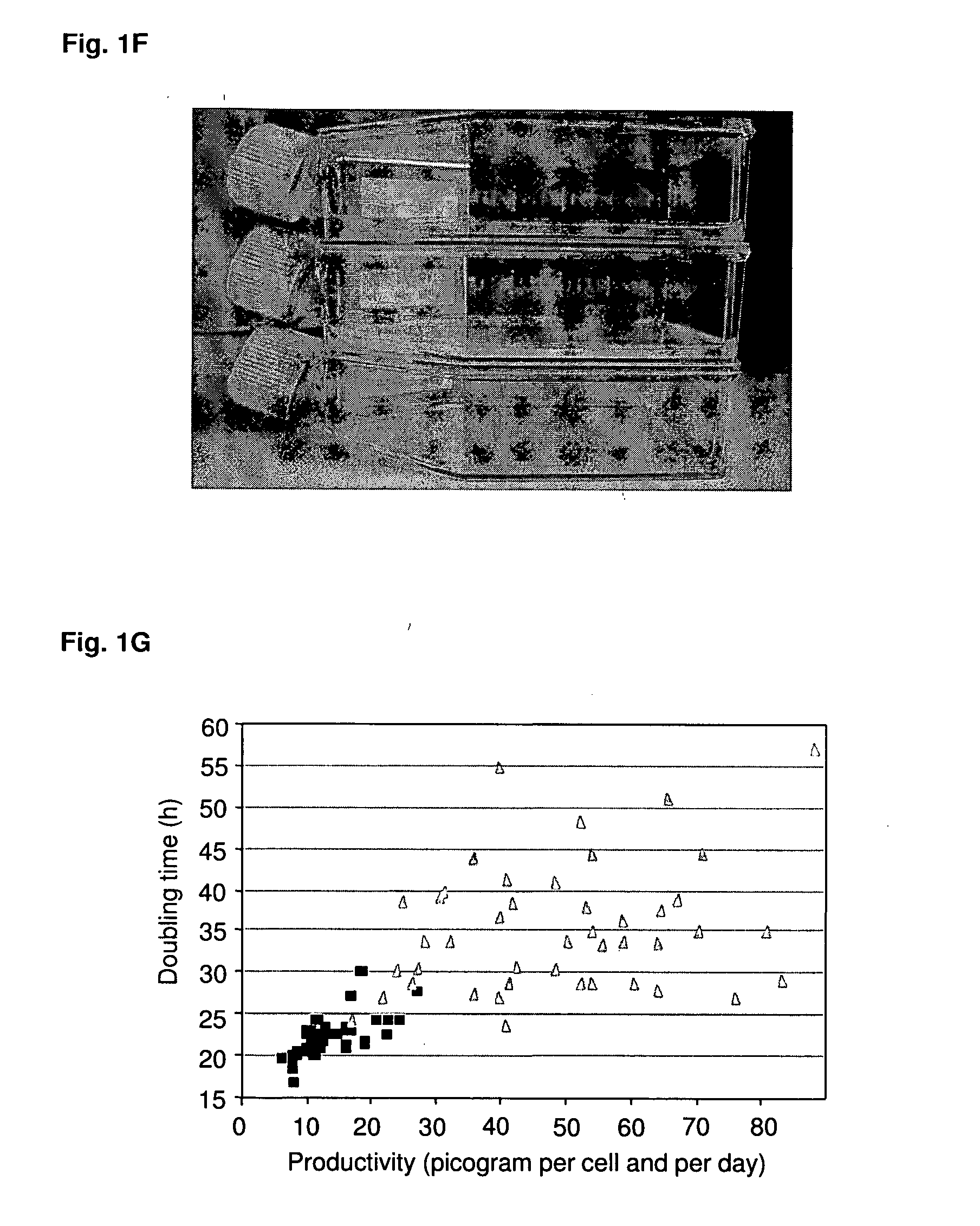 Products and methods for enhanced transgene expression and processing