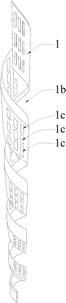 Biological rope and multifunctional ecological floating island device applying same