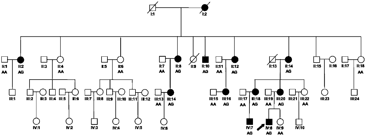 The causative gene of distal arthrogryposis and its application