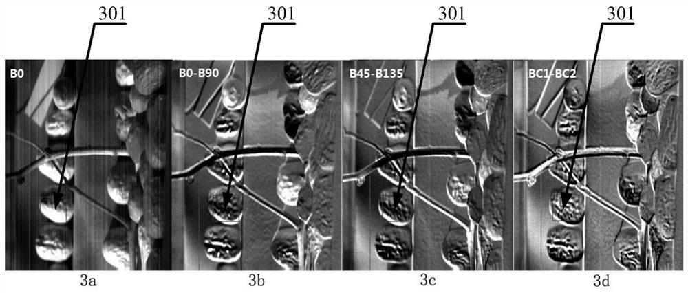 A method and device for identifying target red dates in red date spectral images