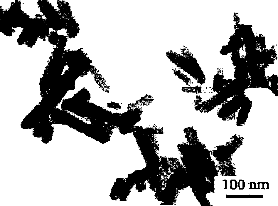 Production of gene carrier and use thereof