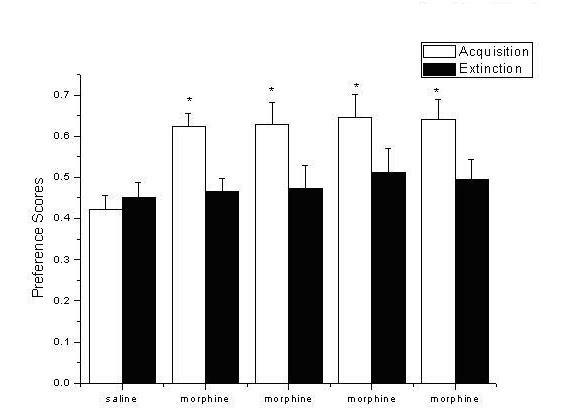 Application of D-seromycin in preparing medicine for treating Morphine psychological dependence behavior caused by stress