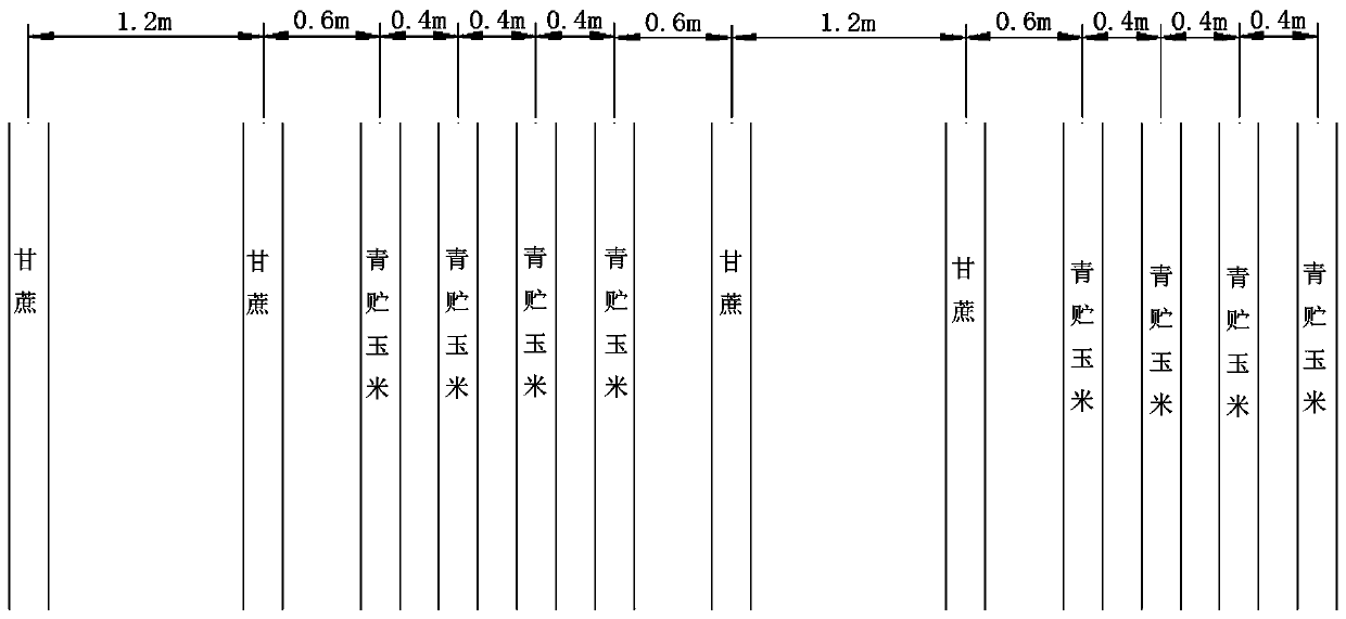 Crop rotation and intercropping method for three crops including sugarcane, silage corn and millet