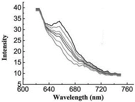 Method for detecting saxitoxin on basis of embedded dye and DNA interaction