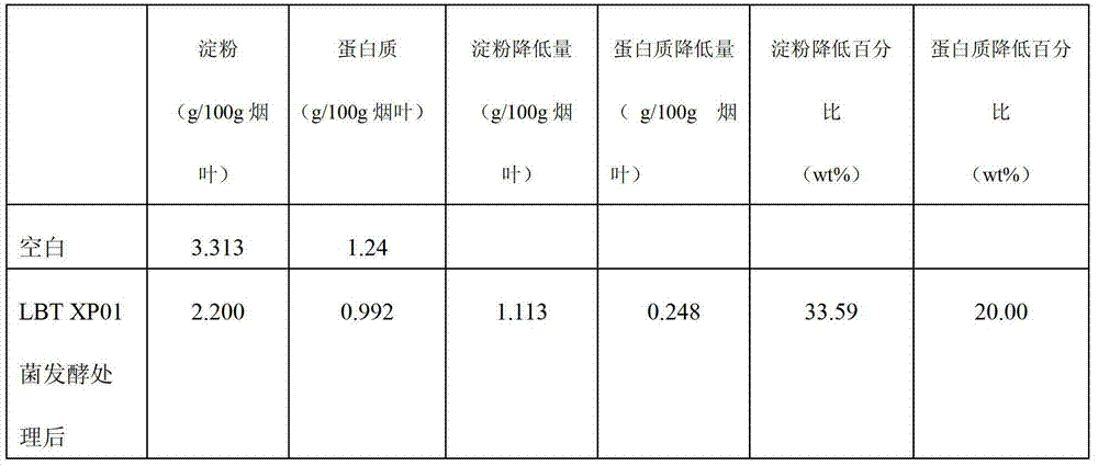 Microbial bacterial strain and application thereof