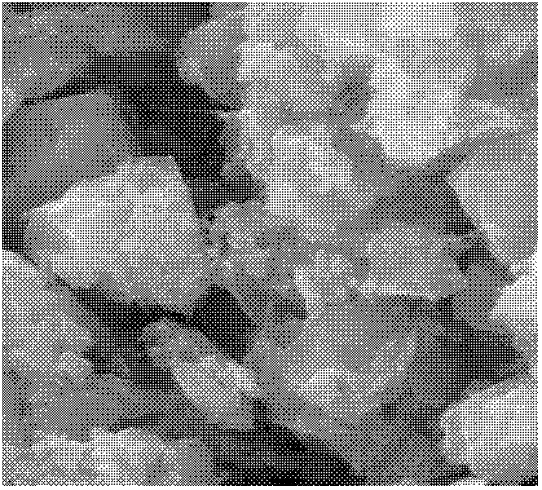 Powder-based electrode forming method